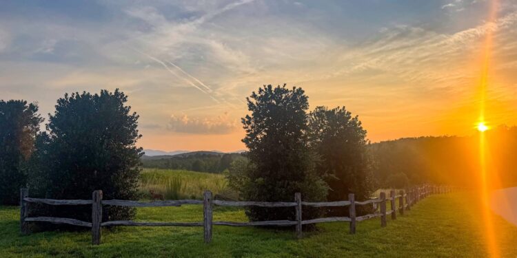 5 on Friday – A Wholesome Slice of Life