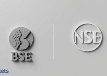 NSE, BSE subject advisory to bond buyers. Listed here are 10 issues to know