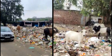 ‘Such pleasure to reside in millennium metropolis’: Retired military officer’s sarcastic tackle biking in Gurugram goes viral 