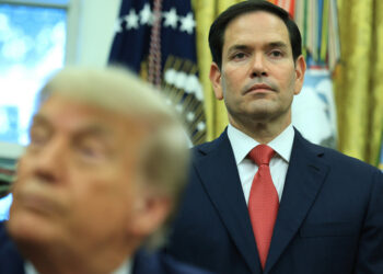 Rubio shares Trump’s emotions about Russia-Ukraine battle — RT World Information
