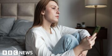 Hackers steal pictures from girls’s courting security app that vets males