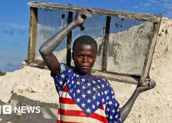 How Trump desires US firms to money in