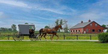 Issues To Do In Amish Nation