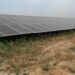Regulatory minefield delays set up of photo voltaic panels