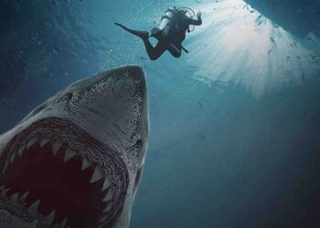 GREAT WHITE WATERS Cocaine! Sharks! Trailer and shortly free on Tubi