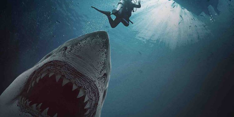 GREAT WHITE WATERS Cocaine! Sharks! Trailer and shortly free on Tubi