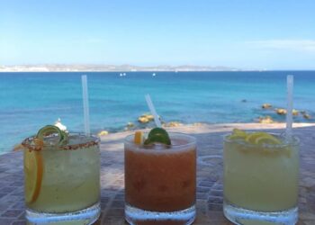 A Device For Each Mocktail: Your Hydrating Summer season Pairings