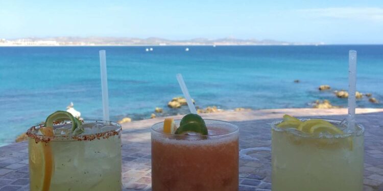 A Device For Each Mocktail: Your Hydrating Summer season Pairings