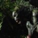 MONSTER ISLAND Cryptid creature characteristic quickly on Shudder – trailer