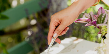 How To Host A Summer time Soirée