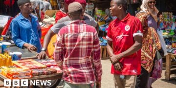 Tanzania’s ban on foreigners working small companies sparks Kenya backlash