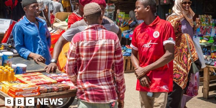 Tanzania’s ban on foreigners working small companies sparks Kenya backlash