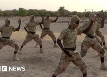 How an al-Qaeda offshoot grew to become one in every of Africa’s deadliest militant teams