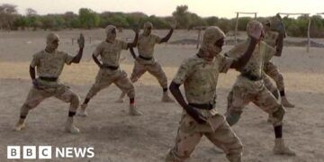 How an al-Qaeda offshoot grew to become one in every of Africa’s deadliest militant teams