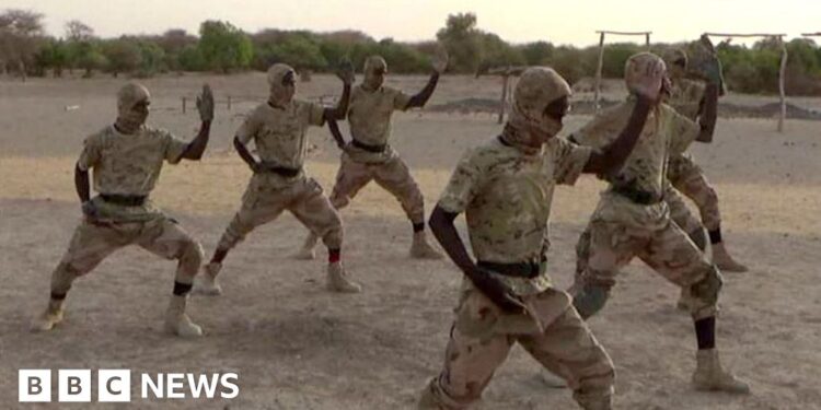 How an al-Qaeda offshoot grew to become one in every of Africa’s deadliest militant teams