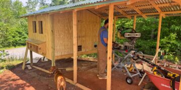 David’s DIY Hen Coop: From Blueprints to Yard