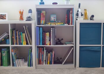 Curriculum Picks: eighth Grade and sixth Grade