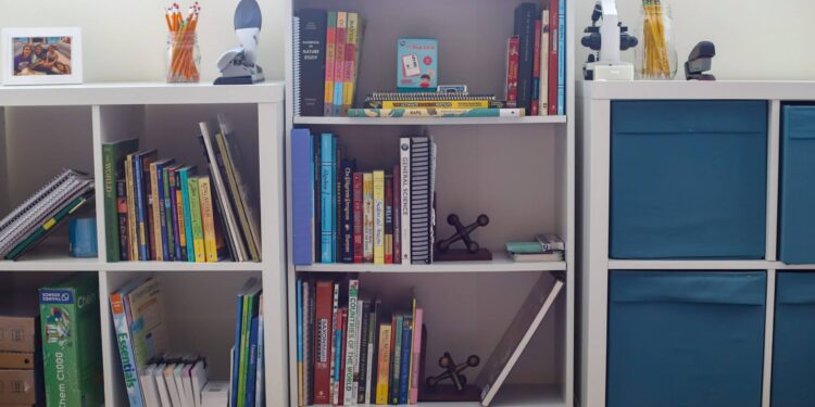 Curriculum Picks: eighth Grade and sixth Grade