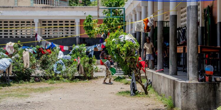 Desks turn into beds as Haitian faculty shelters folks displaced by violence — World Points