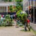 Desks turn into beds as Haitian faculty shelters folks displaced by violence — World Points