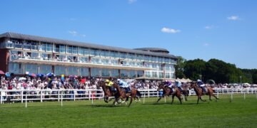 As we speak on Sky Sports activities Racing: Lingfield and Wolverhampton | Racing Information