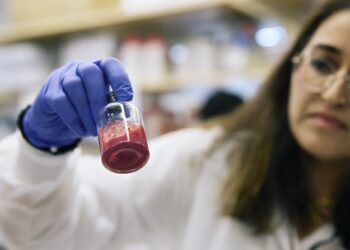 Scientists are creating synthetic blood that might save lives in emergencies : Photographs
