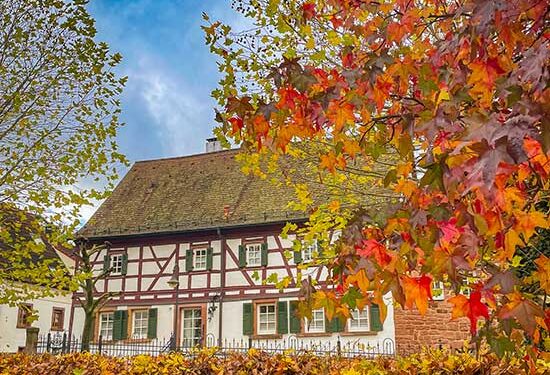Autumn in Germany 2024: Take pleasure in wonderful Colours and Tradition