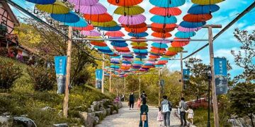 The Final Information to 19 Finest Day Excursions in Seoul for Each Form of Traveler