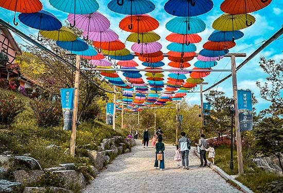 The Final Information to 19 Finest Day Excursions in Seoul for Each Form of Traveler