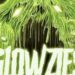 GLOWZIES Sci-fi comedy horror – free on Fandango, Plex, Roku, Tubi and YouTube