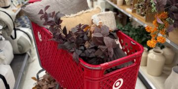 New Fall House Decor from Goal