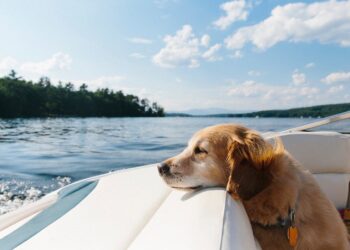 Have a Pretty Weekend. | Cup of Jo