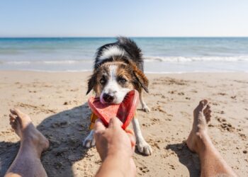 Have a Beautiful Weekend. | Cup of Jo