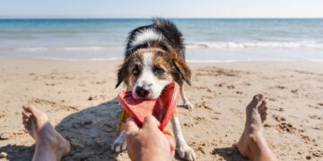 Have a Beautiful Weekend. | Cup of Jo