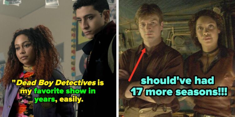 29 Greatest TV Reveals Canceled After One Season