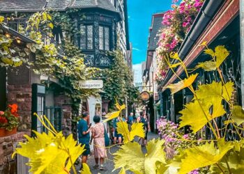 19 Wonderful Issues to Do in Rudesheim | What to do in Rudesheim Germany