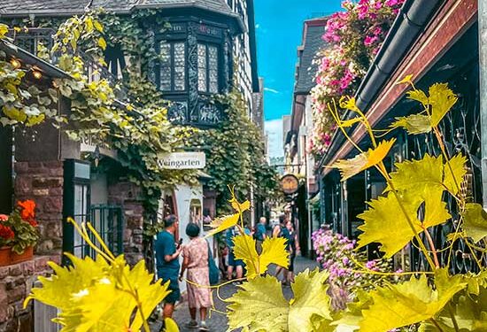 19 Wonderful Issues to Do in Rudesheim | What to do in Rudesheim Germany