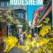19 Wonderful Issues to Do in Rudesheim | What to do in Rudesheim Germany