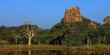Finest Nationwide Parks for Wildlife Safaris in Sri Lanka