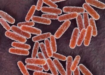 A California Resident Exams Constructive for Plague. This is What to Know In regards to the Illness