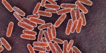 A California Resident Exams Constructive for Plague. This is What to Know In regards to the Illness