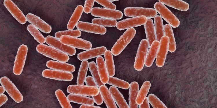 A California Resident Exams Constructive for Plague. This is What to Know In regards to the Illness