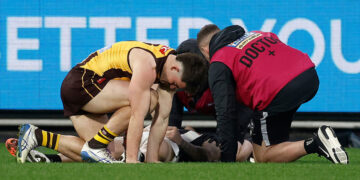 Hawthorn Hawks, Jai Newcombe cleared by MRO after ‘sickening’ collision, Collingwood Magpies give damage replace on Jeremy Howe