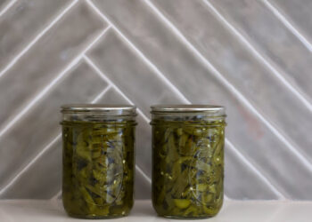 5 on Friday – A Wholesome Slice of Life