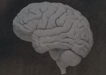 What to Know In regards to the Mind Illness CTE