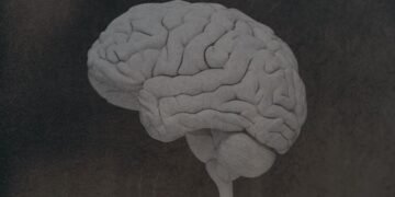 What to Know In regards to the Mind Illness CTE