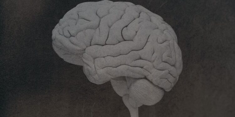 What to Know In regards to the Mind Illness CTE