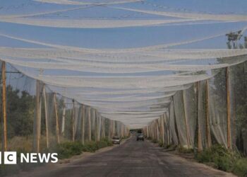 Why Donetsk issues a lot for Ukraine’s defences towards Russia