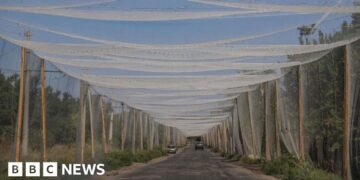 Why Donetsk issues a lot for Ukraine’s defences towards Russia