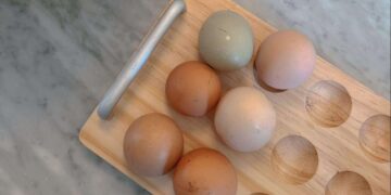 What I Eat In A Day and The Bowl of Meat I Maintain Speaking About